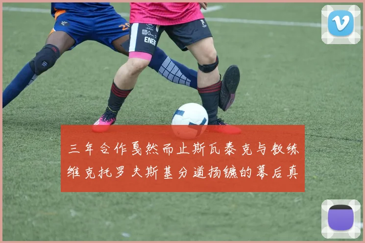 三年合作戛然而止斯瓦泰克与教练维克托罗夫斯基分道扬镳的幕后真相解析