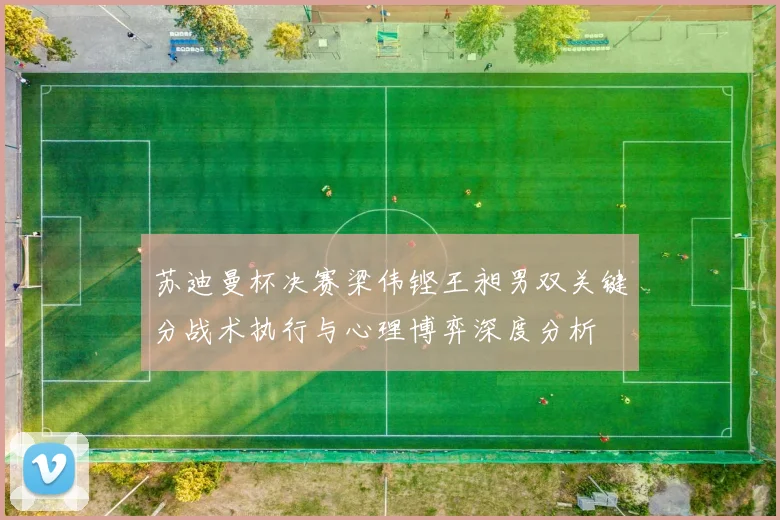 苏迪曼杯决赛梁伟铿王昶男双关键分战术执行与心理博弈深度分析